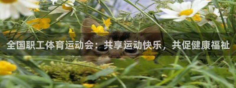 TOP1體育極速版：全國職工體育運動會：共享運動快樂，共促健康福祉