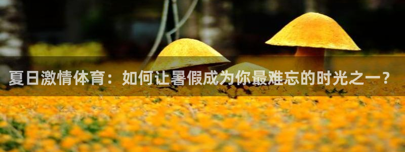 top1體育平臺入口地址：夏日激情體育：如何讓暑假成為你最難忘的時光之一？