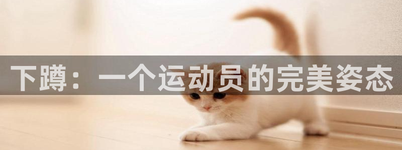 top1體育官網鏈接：下蹲：一個運動員的完美姿態